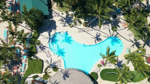 Top view of tropical Resort Pool with Palm Trees - Impressive Punta Cana Stock Footage 309026191