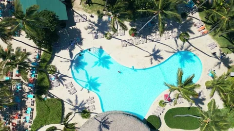 Top view of tropical Resort Pool with Palm Trees - Impressive Punta Cana Stock Footage 309026269