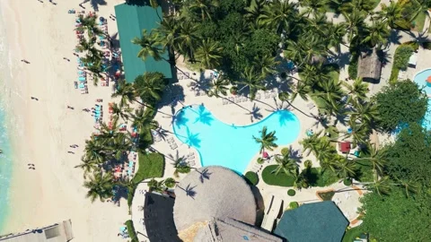 Top view of tropical Resort Pool with Palm Trees - Impressive Punta Cana Stock Footage 309026439