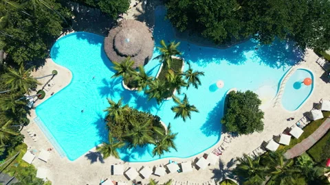 Top view of tropical Resort Pool with Palm Trees - Impressive Punta Cana Stock Footage 309236639