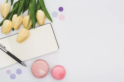 Top view tulips macarons empty Stock Photos