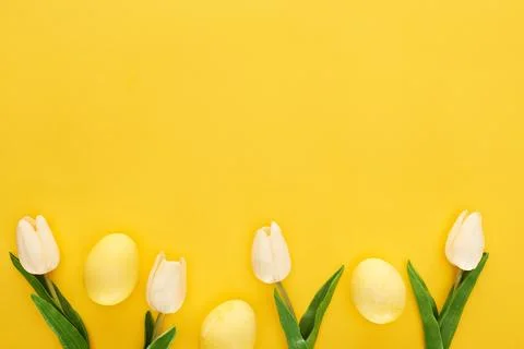 Top view tulips painted easter Stock Photos