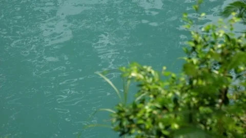 Top view of a turquoise lake in the middle of a tropical rainforest Stock Footage 321324847