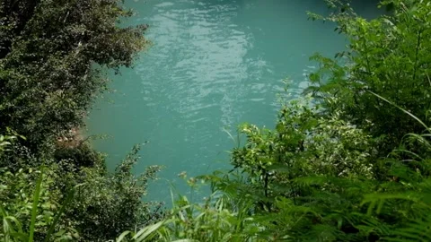 Top view of a turquoise lake in the middle of a tropical rainforest Stock Footage 321324871