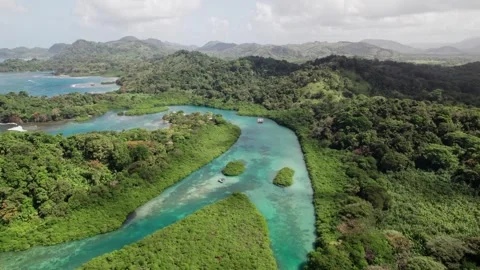 Top view of a turquoise river entering to the land Stock Footage 255224894