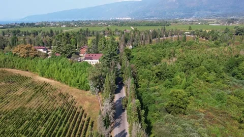 Top view of a two-line highway that runs between Cypress Alley and leads to the Video stock 256599627