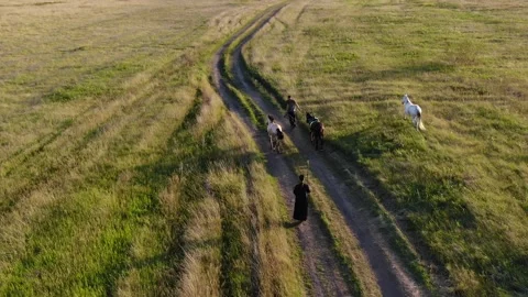 Top view two men lead horses across the field on monowheels Stock Footage 160062208