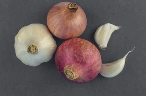 Top view of two pink colored medium size onion and a white garlic beside some Stock Photos