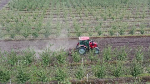 Top view on two tractors driving through the apple orchard aisles of trees, 4k Stock Footage 128919876
