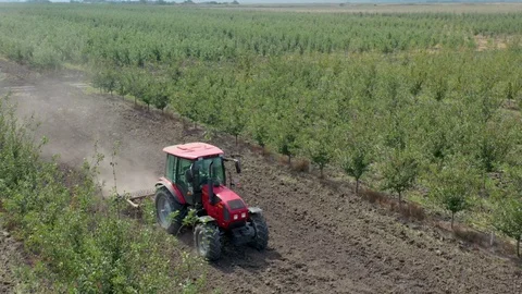 Top view on two tractors driving through the apple orchard aisles of trees, 4k Stock Footage 128919909