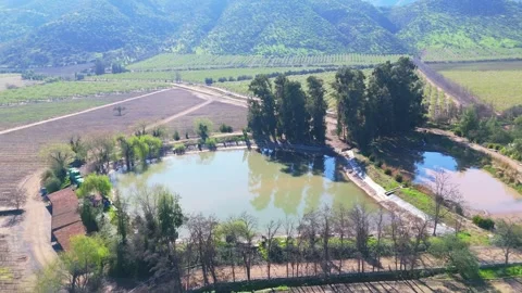 Top view of two water tanks for irrigating trees and fertile soil in the 스톡 동영상 347980995