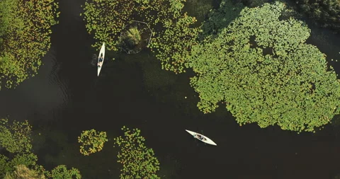 Top view of two white canoes in nature scenery Stock Footage 221319208