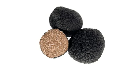 Top view of two whole and one halved black truffle mushrooms rotating. Isolated Stock Footage 161035452