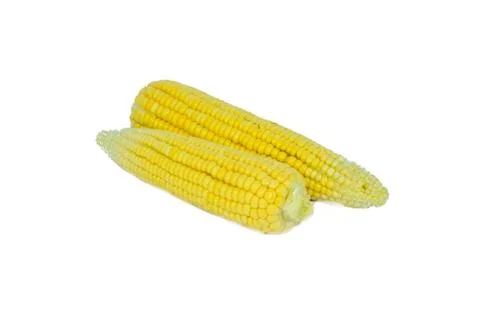 Top view of two yellow colored sweet corn isolated on a white background Stock Photos