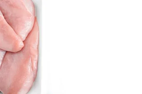 Top View of Uncooked Raw Chicken Breasts, Fillets in a White Foam Container I Stock Photos