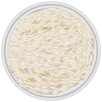 Top View of Uncooked Rice in Shallow Bowl Illustrazione stock