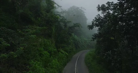 Top view under asphalt road through fog tropical rainforest Stock Footage 310385593