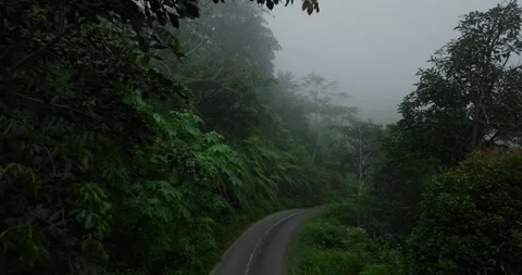 Top view under asphalt road through fog tropical rainforest Stock Footage 311591013