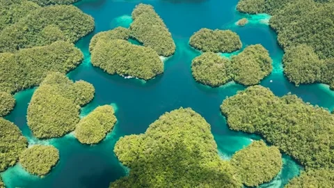 Top view of Unique Tropical Island Landscapes. Stock Footage 301262445