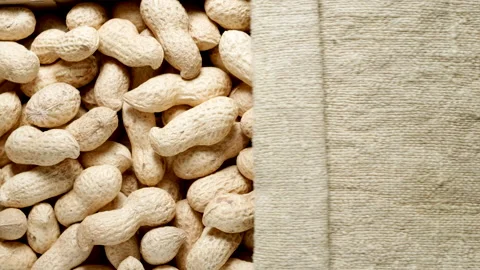 TOP VIEW: Unpeeled peanuts under opening sackcloth Stock Footage 171149291