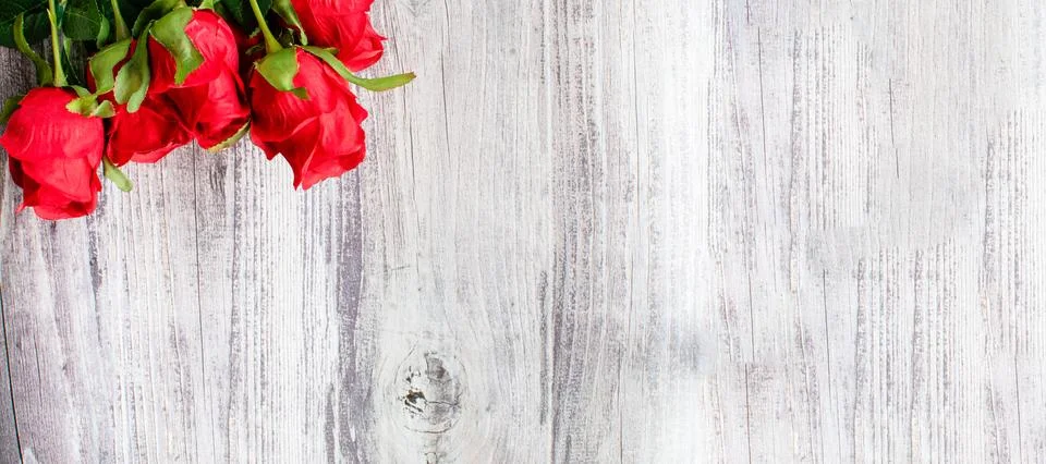 A top view of Valentine's Day concept. Red rose flower and beautiful green .. Stock Photos