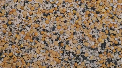 Top view of a variety of dried split pulses and lentils mixed in a metal tray Видео 329561449