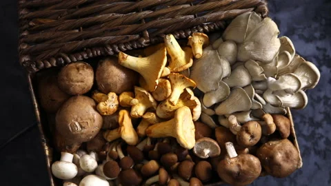 Top view of variety of uncooked wild forest mushrooms in a wicker basket Stock Footage 100773029