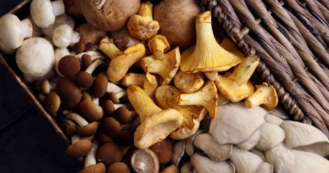 Top view of variety of uncooked wild forest mushrooms in a wicker basket on a Stock Footage 100774060