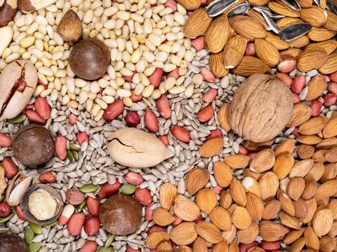 Top view of various nuts and seeds Stock Photos