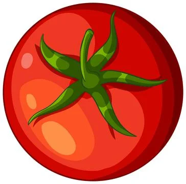 Top View Vector Illustration of a Fresh Red Tomato Stock Illustration