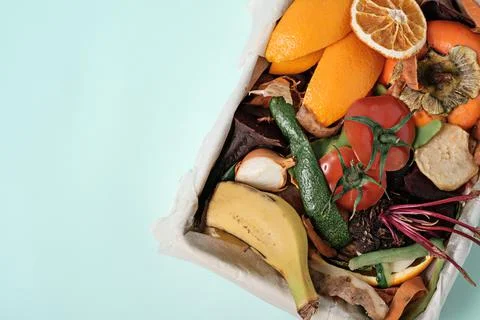 Top view vegetable peels in compost bin on blue background, compost concept.  Stock Photos