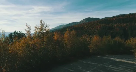 Top view video of a forest road in autumn. Stock Footage 231506690
