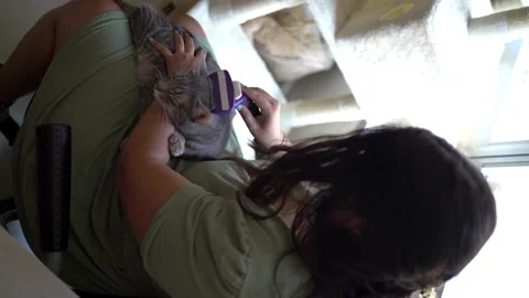 Top view video of unrecognizable spanish woman brushing her cat's hair 스톡 동영상 159404706