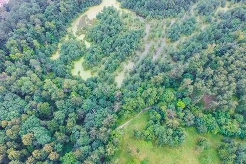 Top view of the village, fields and forests near the village. Stock-Fotos