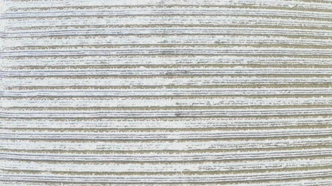 Top view on a vineyard under snow with a path between the rows Stock Footage 170446380