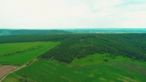 Top view of vivid green fields. Top view video from drone. Village enlaced by Video stock 111070208