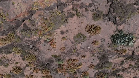 Top view of volcanic cliffs with a small number of plants grown from a volcano Stock Footage 109186069