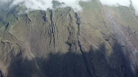 Top view of a vulcanic landscape showing the end of the treeline in the Andes Stock Footage 169900022