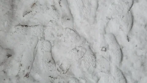 Top view of walking on snow Stock Footage 108107984