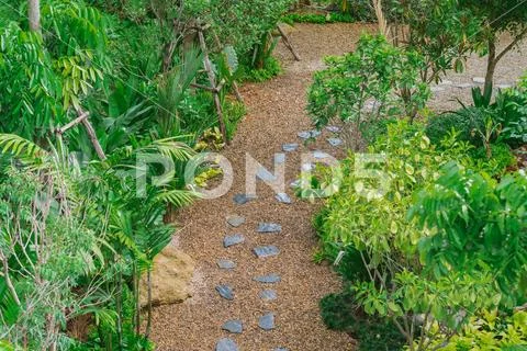 Top view of walkway in the garden and green shrub beside pathway. Garden land Stock Photos
