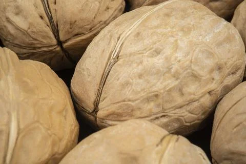Top view walnut in shell Stock Photos