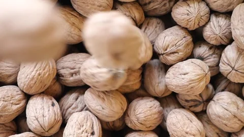 Top view of  walnuts  drops in a bowl Stock Footage 318864841
