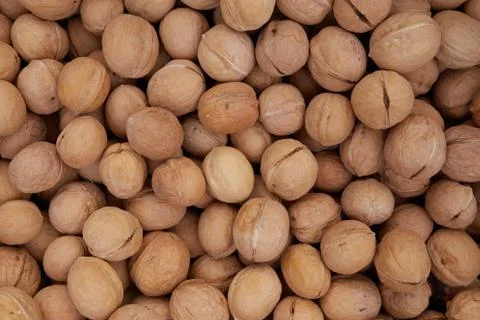 Top view of walnuts in nutshells Stock Photos