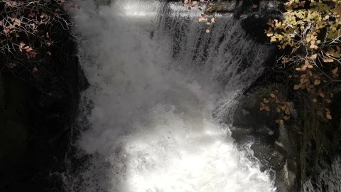 Top view of waterfall with autumn tree Stock Footage 106171555