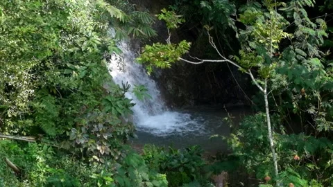 Top view of a waterfall in the middle of a tropical rainforest Stock Footage 321324854
