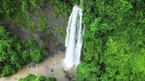 A top view of a waterfall nestled within a dense forest, showcasing the stunning Stock Footage 287768305