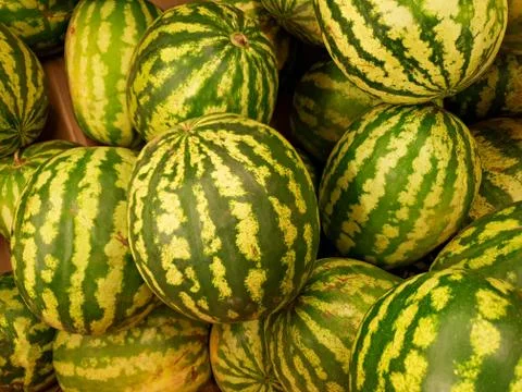 Top view watermelons Stock Photos