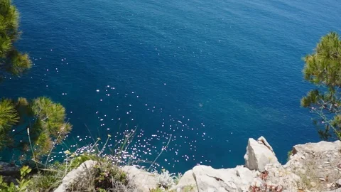 Top view waves on the seaside Stock Footage 113190555