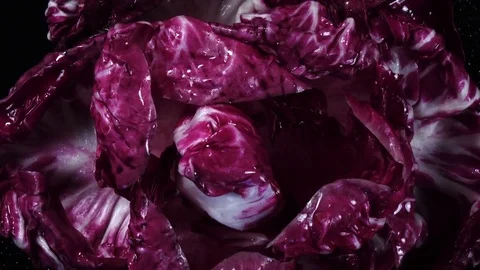 Top view of wet red salad radicchio, rotating clockwise on black background Stock Footage 73869874