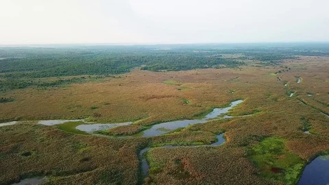 Top view of wetland Stock-Footage 108341131